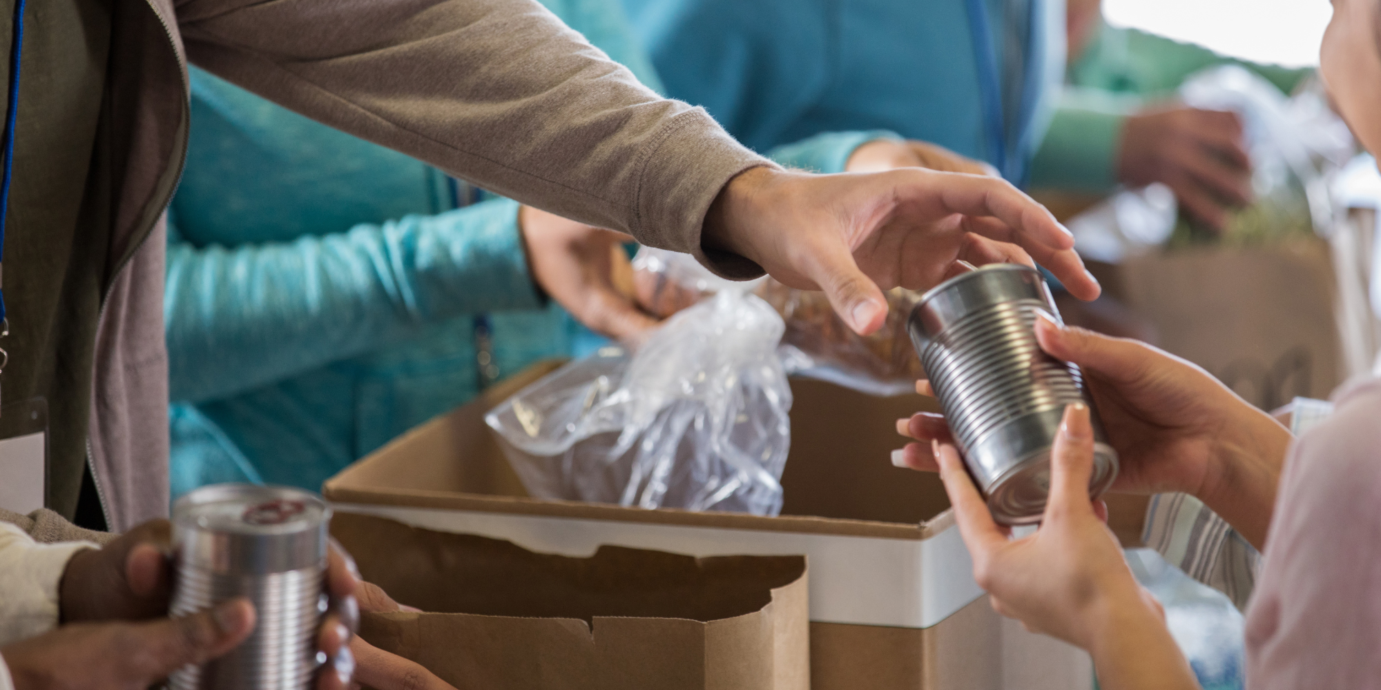 Michigan Food Bank Funding Cuts